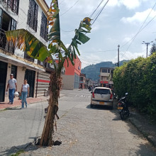 El hueco echó raíces en Chinchiná (Caldas)